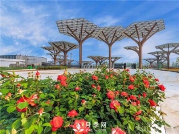 南陽(yáng)世界月季大觀園景區(qū)簡(jiǎn)介