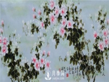 “月季花濕法畫(huà)法第一人”王躍進(jìn)廈門(mén)辦專題月季展