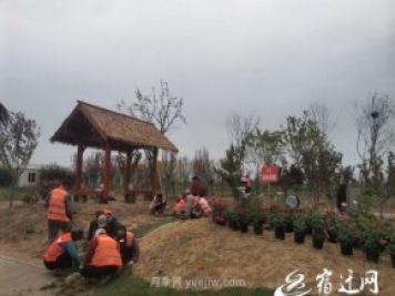 醉美泗陽(yáng)，月季花海，第十一屆中國(guó)月季展覽會(huì)4月28日開(kāi)幕