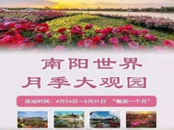 河南南陽高質(zhì)量推進(jìn)月季花會(huì)籌備工作