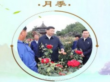 “小康菜譜”上新了！“最強(qiáng)帶貨員”這次cue到南陽(yáng)月季