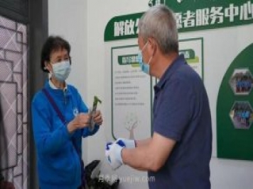 送你一枝月季，許你一束繁花，武漢百余市民領(lǐng)到月季扦插枝條