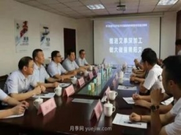 推進(jìn)艾草深加工，做大做強(qiáng)南陽(yáng)艾，主題座談會(huì)成功召開