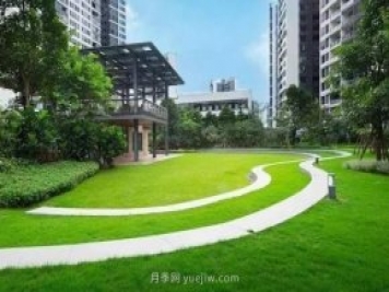景觀草坪修剪全攻略，實用干貨分享