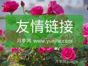 月季網友情鏈接