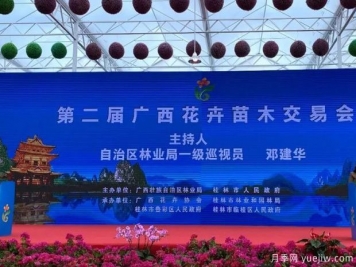 花開八桂壯美廣西，第二屆廣西花卉苗木交易會(huì)開幕