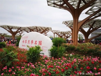 院子里設(shè)計一塊月季花境，一年四季繁花盛開美如仙境