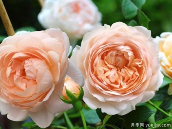 干凈不只是一種氣質(zhì)，也是一個(gè)人的尊嚴(yán)