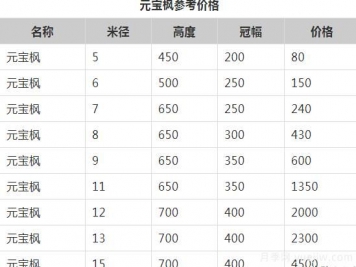 元寶楓的價(jià)格一路上漲，大規(guī)格優(yōu)質(zhì)苗一株能賣上萬(wàn)元