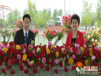 2022年第十三屆南陽月季花會(huì)開幕，南陽電臺(tái)全媒體直播