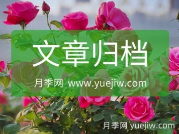 月季網網站地圖