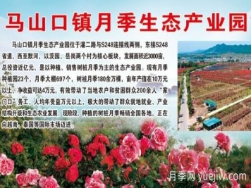 花木產(chǎn)地：南陽(yáng)市馬山口鎮(zhèn)