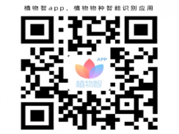 植物智app，植物物種智能識(shí)別應(yīng)用