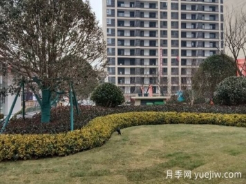 景觀綠化龜背式種植施工工藝