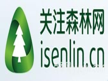 月季選苗時，要注意哪些事項(xiàng)？