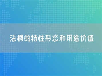 法桐的特性形態(tài)和用途價值