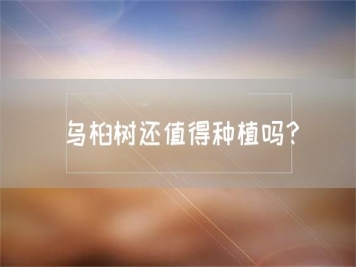 烏桕樹(shù)還值得種植嗎？