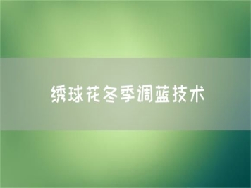 繡球花冬季調藍技術
