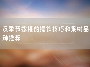 反季節(jié)嫁接的操作技巧和果樹(shù)品種推薦
