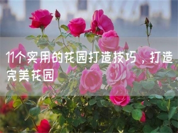 11個實(shí)用的花園打造技巧，打造完美花園