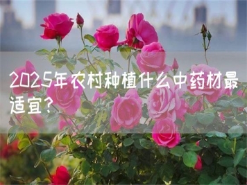 2025年農(nóng)村種植什么中藥材最適宜？