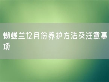 蝴蝶蘭12月份養(yǎng)護(hù)方法及注意事項