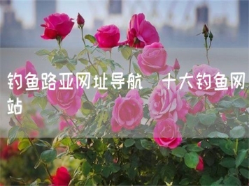釣魚路亞網(wǎng)址導(dǎo)航_十大釣魚網(wǎng)站