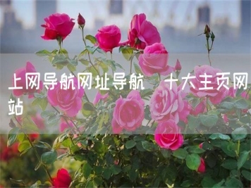 上網(wǎng)導(dǎo)航網(wǎng)址導(dǎo)航_十大主頁(yè)網(wǎng)站