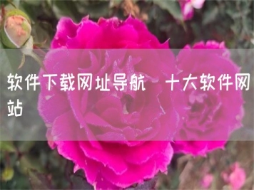 軟件下載網(wǎng)址導(dǎo)航_十大軟件網(wǎng)站