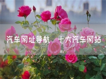 汽車(chē)網(wǎng)址導(dǎo)航_十大汽車(chē)網(wǎng)站