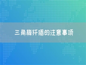 三角梅扦插的注意事項