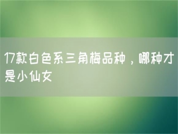 17款白色系三角梅品種，哪種才是小仙女
