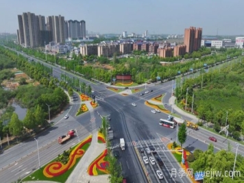 萬株樹狀月季齊綻放，扮靚寧鄉(xiāng)城市新風景