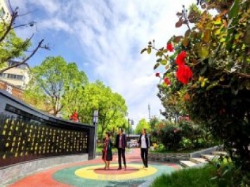南陽臥龍崗街道，廢墟變游園，月季景優(yōu)美