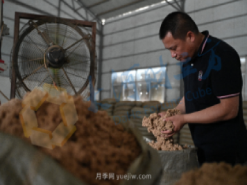 南陽(yáng)新一季艾草成熟了，90后顯現(xiàn)對(duì)艾制品購(gòu)買力