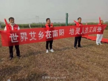第二屆道地“南陽(yáng)艾”采收節(jié)在社旗縣大馮營(yíng)鎮(zhèn)舉辦