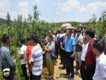 什么是新農(nóng)人，和傳統(tǒng)農(nóng)民有什么區(qū)別