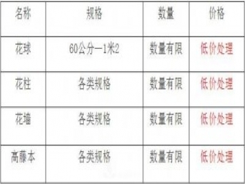 清地在即，部分造型月季品類月季價格短時間走低