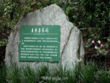 成都植物園也有月季園了，超美盛花期來啦