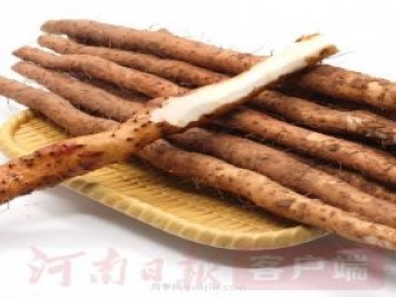 推動河南農(nóng)業(yè)“小特產(chǎn)”向“大產(chǎn)業(yè)”升級