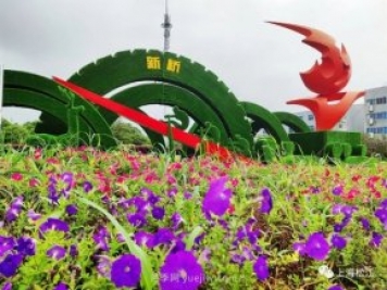 上海松江這里的花壇、花境“上新”啦！特色景觀升級(jí)！