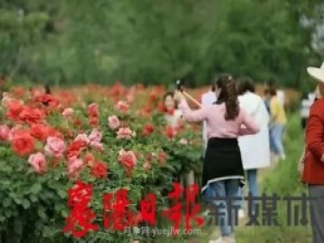 襄陽?？担汉喖移捍逶录净êＲ齺肀姸嘤慰痛蚩? title=