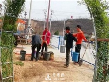 渭南引進南陽月季，強勢打造馬趵泉景區(qū)景觀美化帶