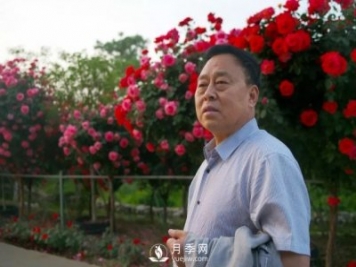 陜西韓城“月季王”——?jiǎng)?ài)民