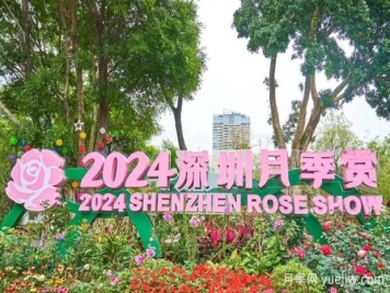 五園聯(lián)動，2024深圳月季賞浪漫進(jìn)行中