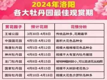 2024年洛陽牡丹絢爛綻放，誰與爭鋒？