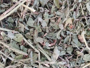 2024年南陽(yáng)優(yōu)質(zhì)花生秧草粉開始供應(yīng)
