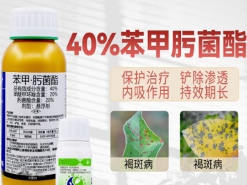 月季打藥怎么配？稀釋很難嗎？