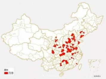 中國各城市市花大集合！月季是51個(gè)城市市花具首位