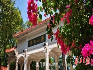 湖北武漢百萬株月季“理發(fā)”，國慶節(jié)前將綻放街頭